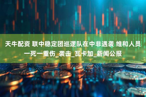 天牛配资 联中稳定团巡逻队在中非遇袭 维和人员一死一重伤_袭击_瓦卡加_新闻公报