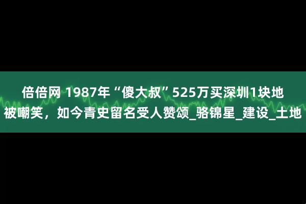 倍倍网 1987年“傻大叔”525万买深圳1块地被嘲笑，如今青史留名受人赞颂_骆锦星_建设_土地